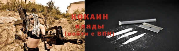 прущие грибы Бронницы