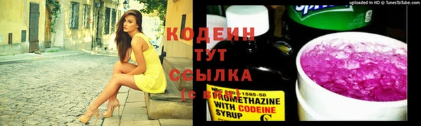 крисы Бугульма