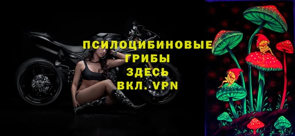 крисы Бугульма