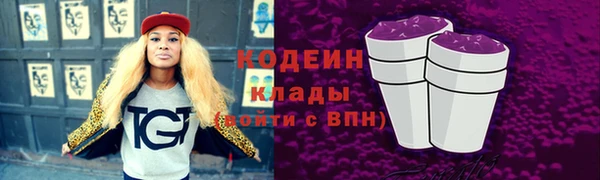 прущие грибы Бронницы