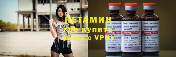 прущие грибы Бронницы