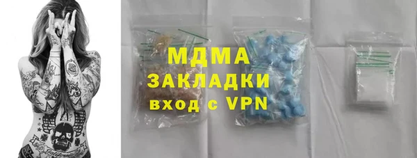 прущие грибы Бронницы