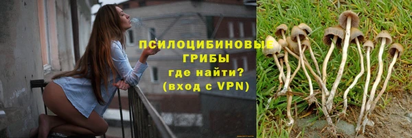 прущие грибы Бронницы