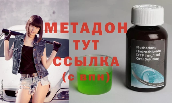 прущие грибы Бронницы
