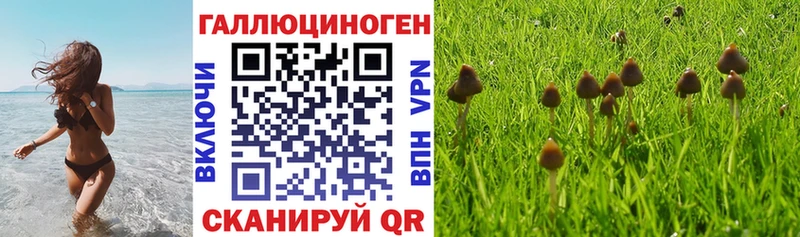 Псилоцибиновые грибы GOLDEN TEACHER  Юхнов 